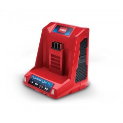 Chargeur pour batterie 40V Max Toro