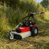Débroussailleuse Limpar HG55 55 cm Briggs & Stratton
