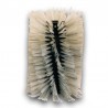 brosse balayeuse